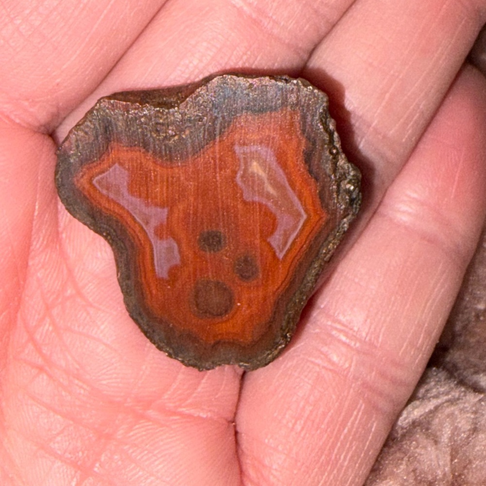 AGATE - Picture 7 of 11